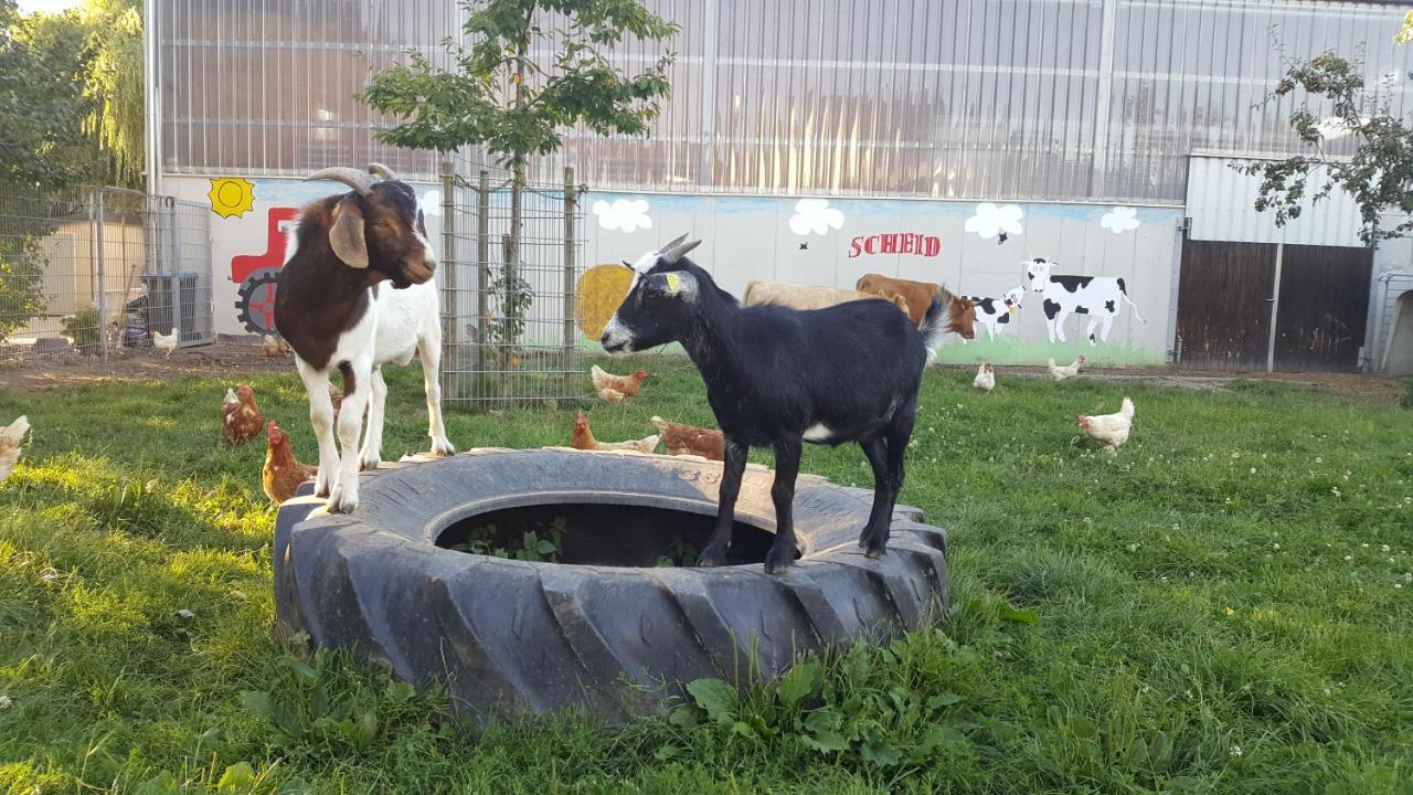 Ferienwohnung Scheid Lahr  Bagian luar foto